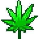 weed
